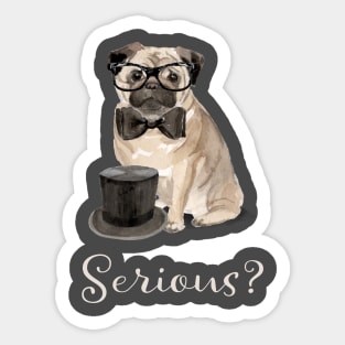 Funny Pug Sticker